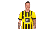 Borussia Dortmund Hello Sticker by Bundesliga
