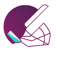 skrillpayments ipl indian premier league howzzat ipl 2020 Sticker