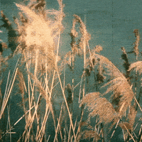 Art Design GIF