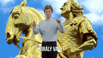 comedycentralmagyarorszag comedycentral dumaszinhaz comedycentralgifgyujtemeny comedycentralhungary GIF
