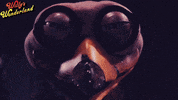 Screen Media Films GIF