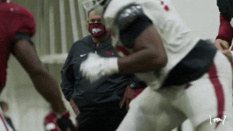 College Football GIF by Arkansas Razorbacks