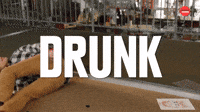 DRUNK