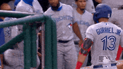 Regular Season Sport GIF by MLB