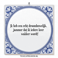 Humor Wijsheid GIF by Tegelspreuken.nl