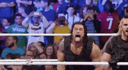 The Shield Wrestling GIF by WWE