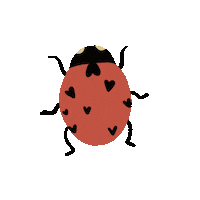 Ilus Sticker