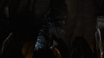 season 8 hbo GIF by Game of Thrones