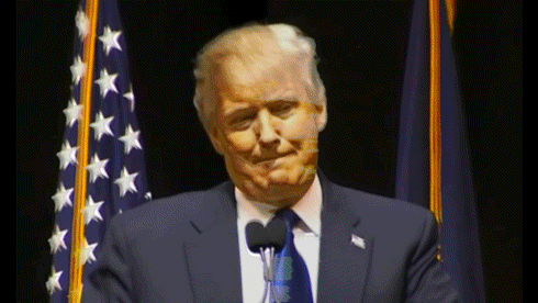trump glitch GIF by weinventyou
