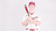 Justin Johnson GIF by Lafayette Leopards