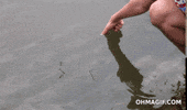 like a boss swimming GIF