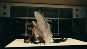 Mc Anitta Funk GIF