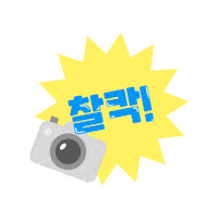 비행기 Sticker