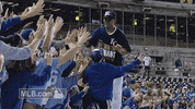 kc GIF by MLB