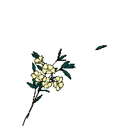 Flower Sticker by TicketSwap