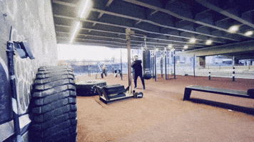 Lets Go Win GIF by Casol