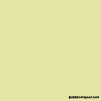 Support Teamwork GIF by Bored On Chain