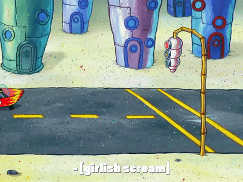season 8 GIF by SpongeBob SquarePants