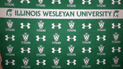 Tgoe Iwutitans GIF by iwusports