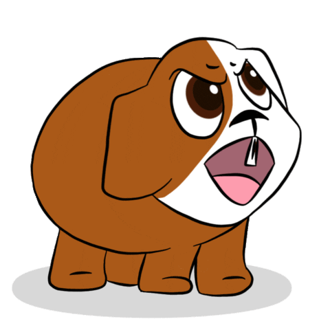 Guinea Pig No Sticker