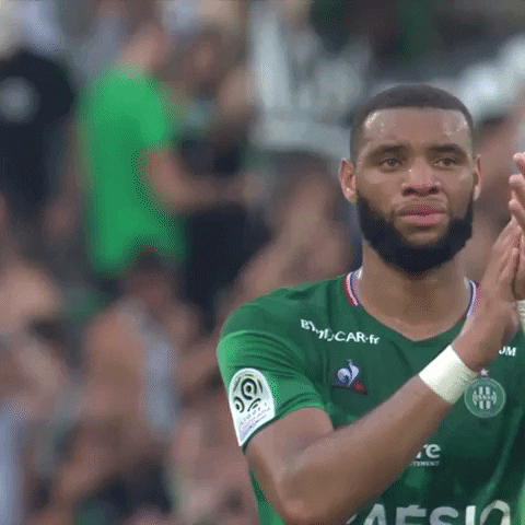 Ligue 1 Applause GIF by AS Saint-Étienne