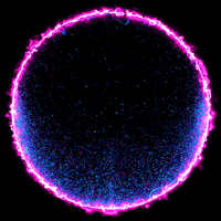 Pink Circle GIF