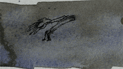 animation art GIF by Will Kim