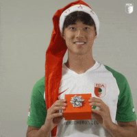 Football Soccer GIF by FC Augsburg 1907