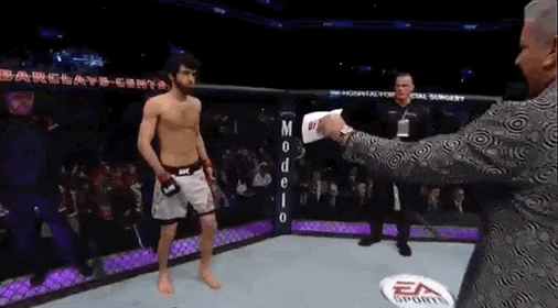 ufc 223 sport GIF by UFC