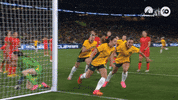 Celebration Goal GIF by Football Australia