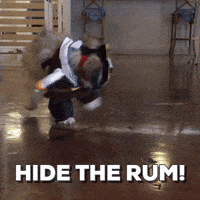 halloween funny dog GIF by DogVacay
