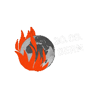 Weltkugel Sticker by klimademo