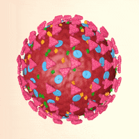 GIF by Art and Fact