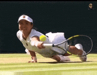 Grand Slam Wow GIF
