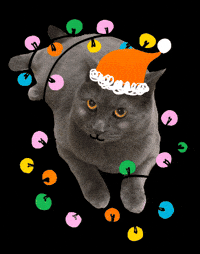 Christmas Cat Gabi Toma GIF
