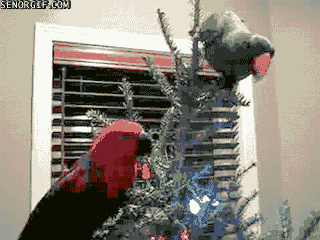 animal christmas grabbing GIF by Cheezburger
