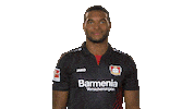 bayer leverkusen wink Sticker by Bundesliga