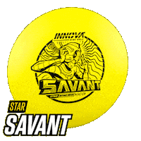 Disc Golf Sticker by Innova Discs