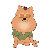 Friends Pomeranian Sticker