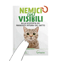 nemiciinvisibili cat dog cane gatto Sticker