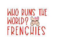 frenchiefriendsbrand frenchie french bulldog frenchie friends frenchie friends brand Sticker