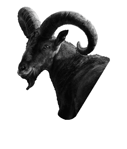 GOATFuel_SE giphyupload Sticker