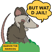 Opossum Wow Sticker by Marvin The Manicou
