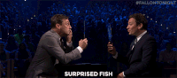 jimmy fallon lol GIF by The Tonight Show Starring Jimmy Fallon