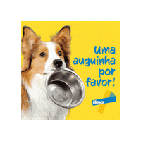 Drc Sticker by Elanco Brasil