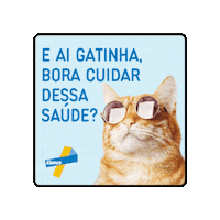 elanco_brasil gato elanco elancopets elancopetsbr Sticker