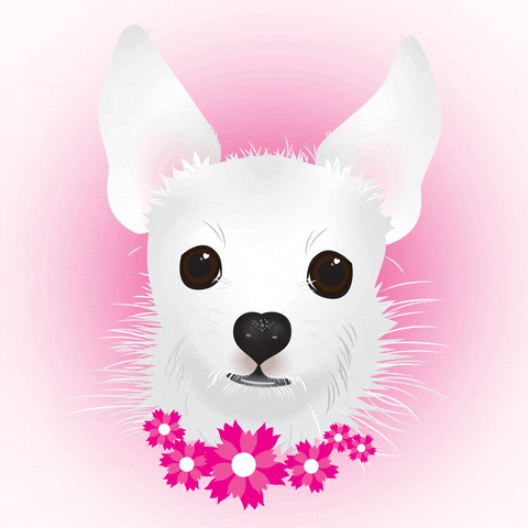 GreenDogGraphicDesign giphyupload greendoggraphicdesign custompetportrait littlewhitedog GIF