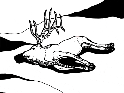 art student GIF by Will Bertram