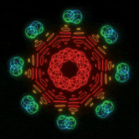 GIF by xponentialdesign