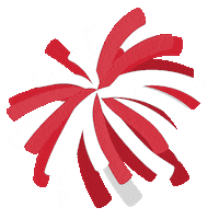 Nebraska Huskers Sticker by College Colors Day